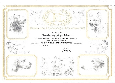 des Lutins de Charvinat - Titre de Championne Internationale de Beauté