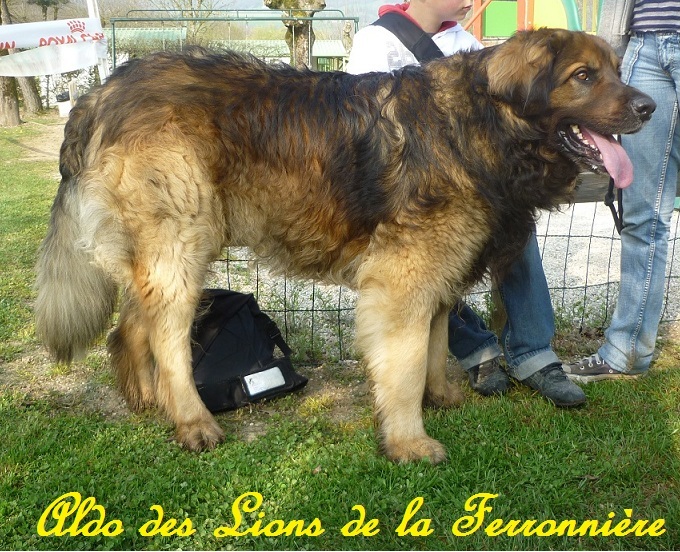 Famille de Charline